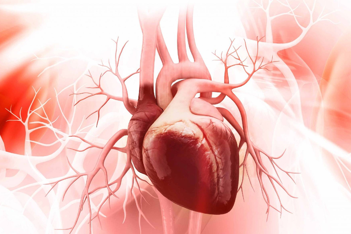 Kalpte Deliklerin Kapatılması (ASD, PFO, PDA)